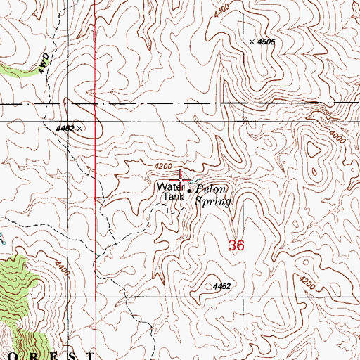 Topographic Map of Pelon Spring, AZ