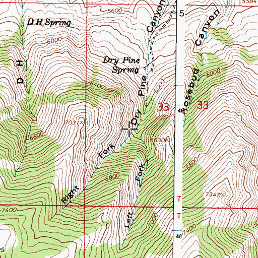 Topographic Map of Right Fork Dry Pine Canyon, ID