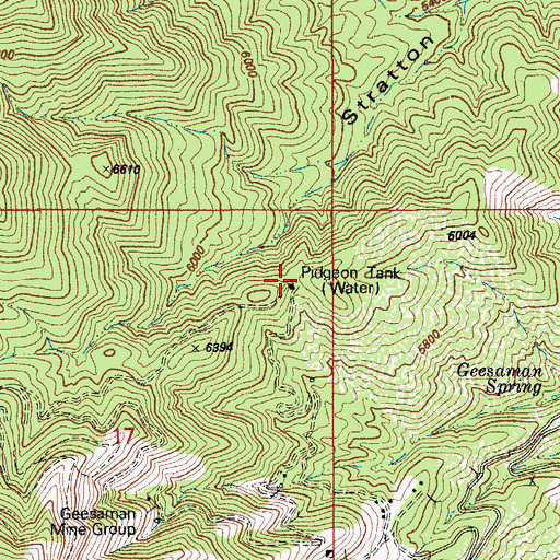 Topographic Map of Pidgeon Tank, AZ