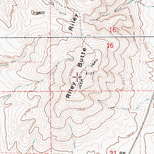 Topographic Map of Riley Butte, ID