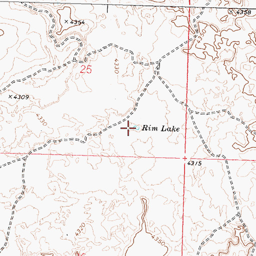 Topographic Map of Rim Lake, ID
