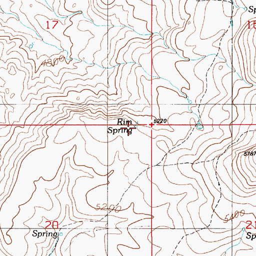 Topographic Map of Rim Spring, ID