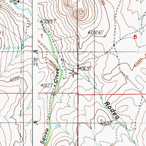 Topographic Map of Rodeo Gulch, ID
