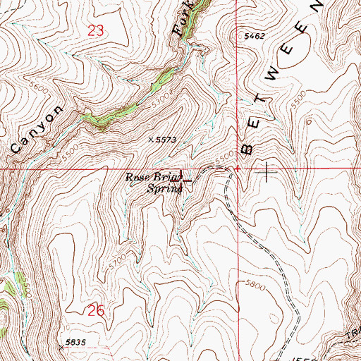 Topographic Map of Rose Briar Spring, ID