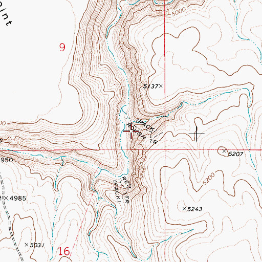 Topographic Map of Rough Trail, ID