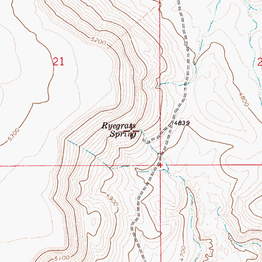 Topographic Map of Ryegrass Spring, ID