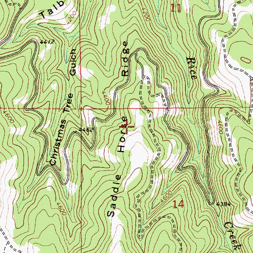 Topographic Map of Saddle Horse Ridge, ID