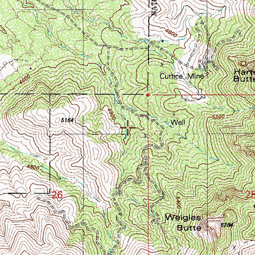 Topographic Map of Ruelas Spring Number Two and Three, AZ