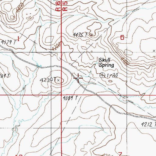 Topographic Map of Skull Spring, ID