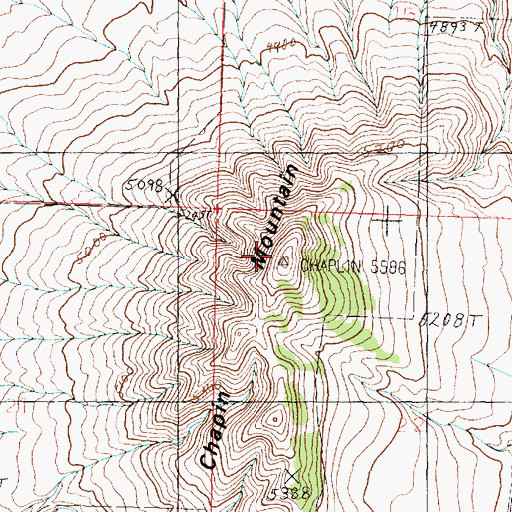 Topographic Map of South Chapin Mountain, ID