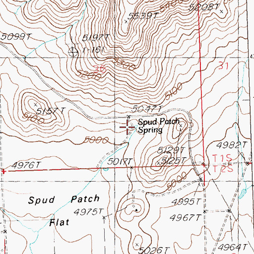 Topographic Map of Spud Patch Spring, ID