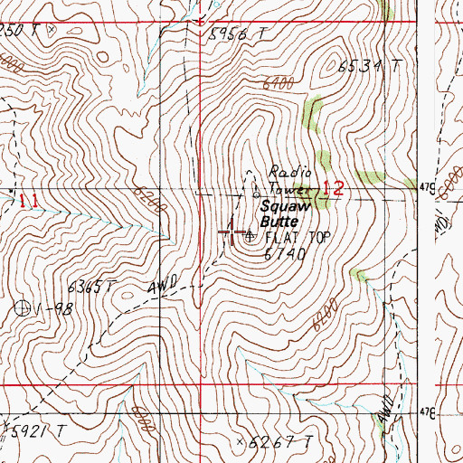 Topographic Map of Squaw Butte, ID