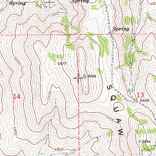 Topographic Map of Squaw Butte, ID