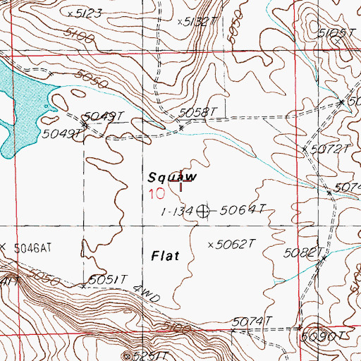 Topographic Map of Squaw Flat, ID