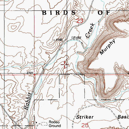 Topographic Map of Striker Basin Gulch, ID