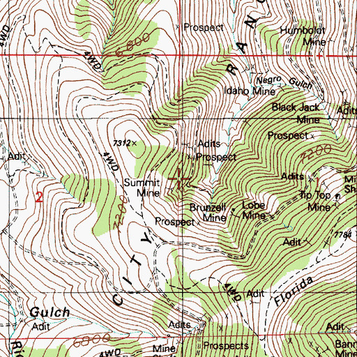 Topographic Map of Summit Mine, ID