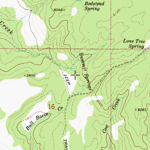 Topographic Map of Summit Springs, ID