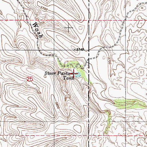 Topographic Map of Steer Pasture Tank, AZ
