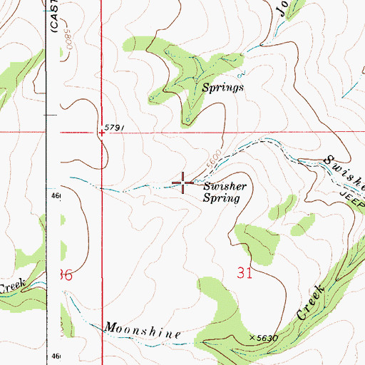 Topographic Map of Swisher Spring, ID