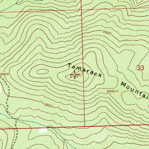 Topographic Map of Tamarack Mountain, ID