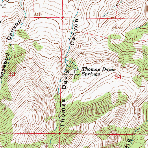 Topographic Map of Thomas Davis Springs, ID
