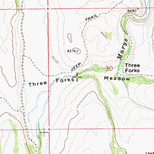 Topographic Map of Three Forks Meadow, ID