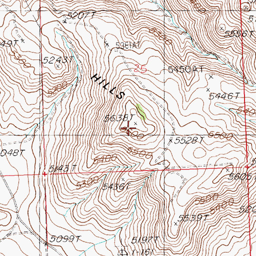 Topographic Map of Timmerman Hills, ID