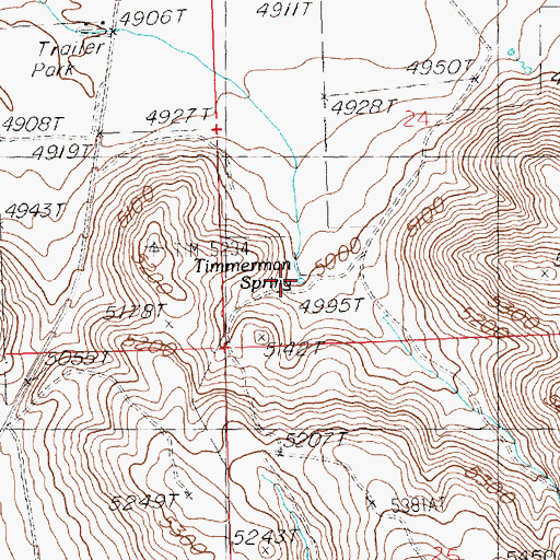 Topographic Map of Timmerman Spring, ID