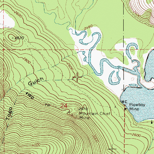Topographic Map of Togo Gulch, ID