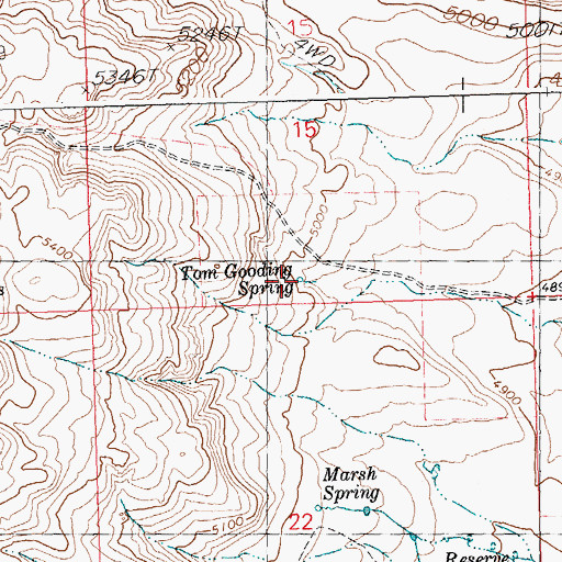 Topographic Map of Tom Gooding Spring, ID
