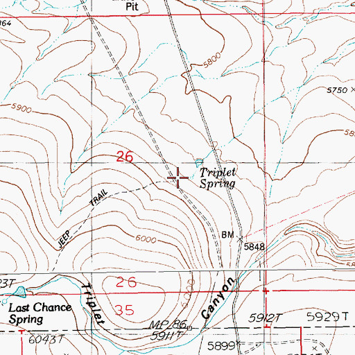 Topographic Map of Triplet Spring, ID
