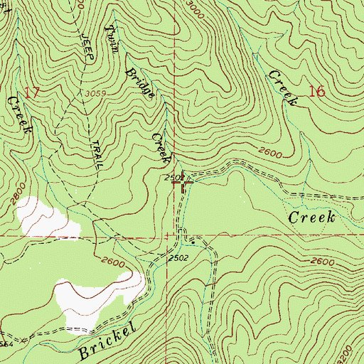 Topographic Map of Twin Bridge Creek, ID
