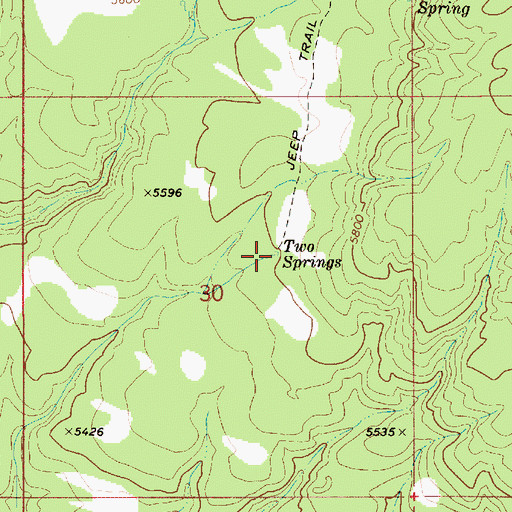 Topographic Map of Two Springs, ID