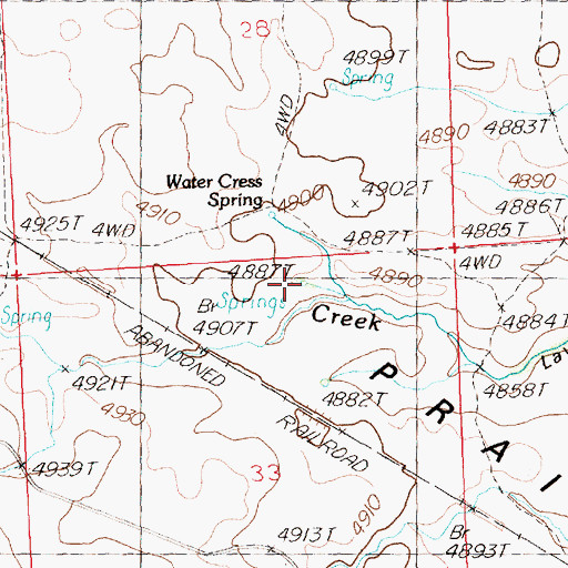 Topographic Map of Water Cress Spring, ID
