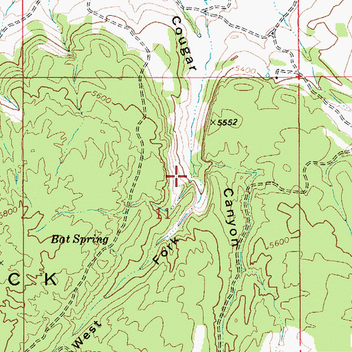 Topographic Map of West Fork Cougar Canyon, ID