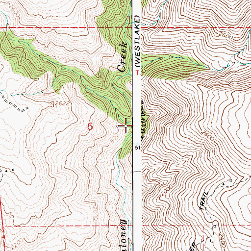 Topographic Map of West Fork Maloney Creek, ID