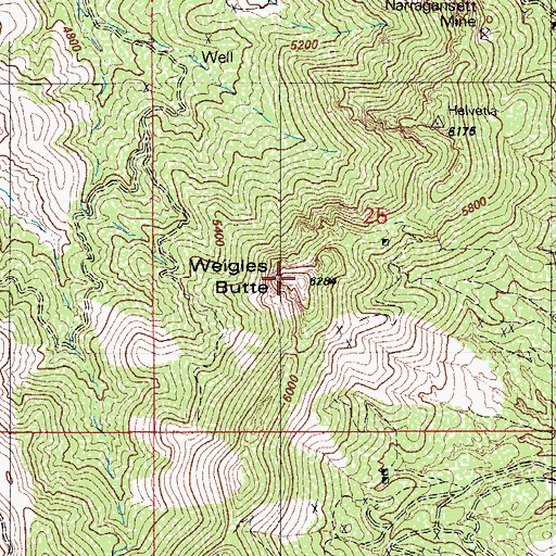 Topographic Map of Weigles Butte, AZ