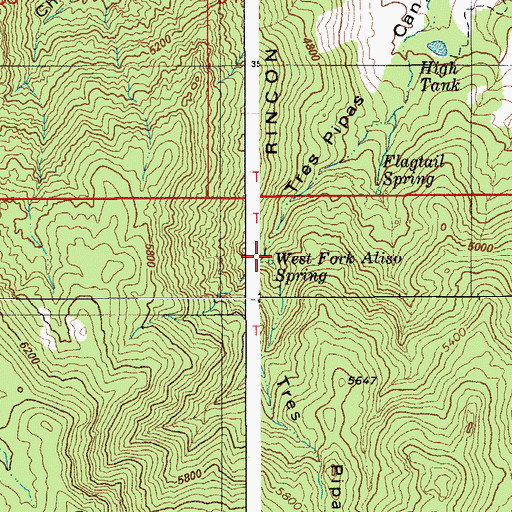 Topographic Map of West Fork Aliso Spring, AZ