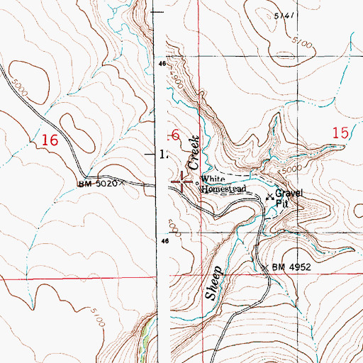 Topographic Map of White Homestead, ID