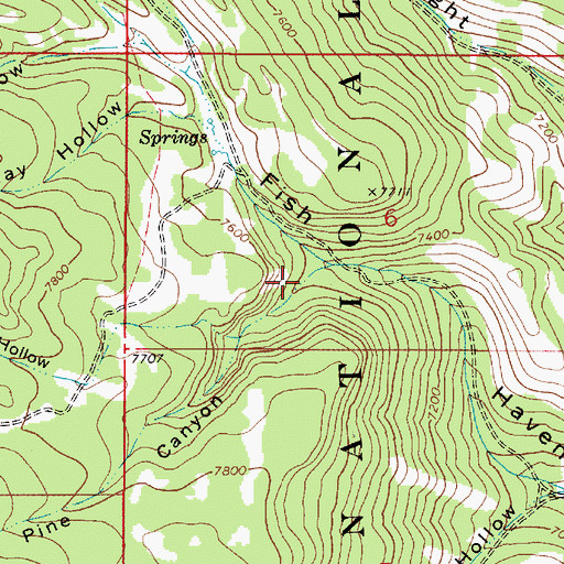 Topographic Map of White Pine Canyon, ID