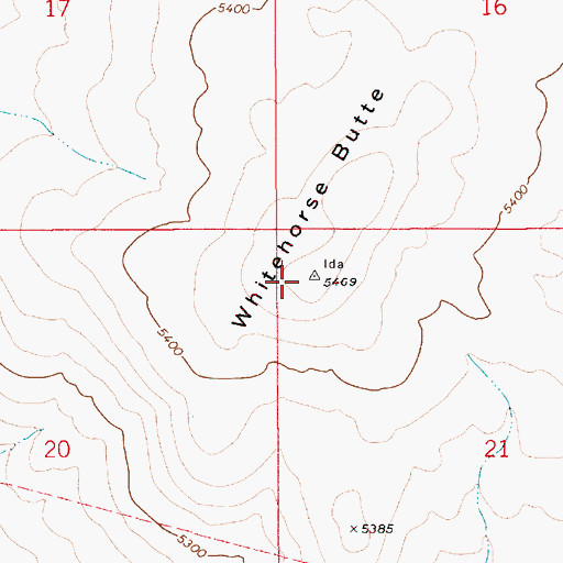 Topographic Map of Whitehorse Butte, ID