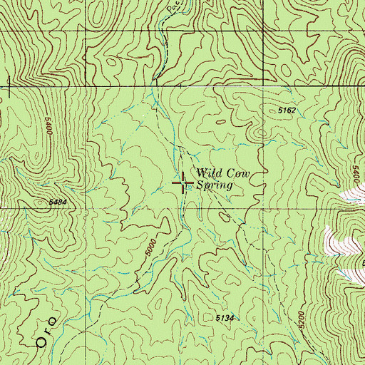 Topographic Map of Wild Cow Spring, AZ