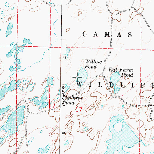Topographic Map of Willow Pond, ID