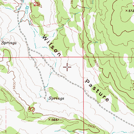 Topographic Map of Wilson Pasture, ID