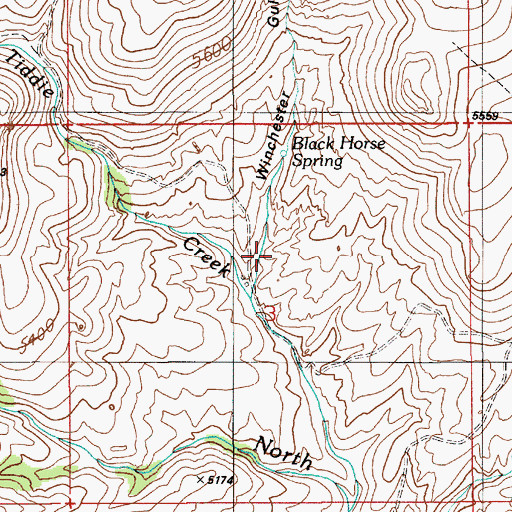 Topographic Map of Winchester Gulch, ID