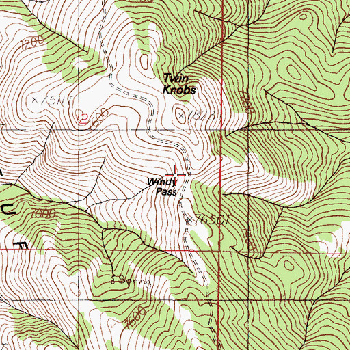 Topographic Map of Windy Pass, ID