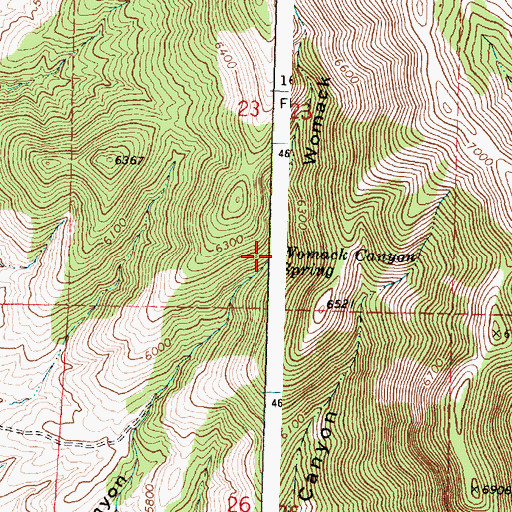 Topographic Map of Womack Canyon Spring, ID