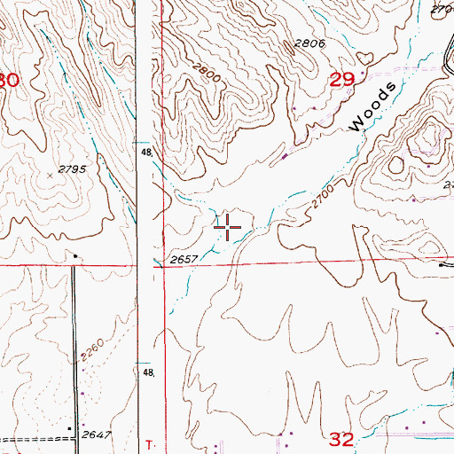 Topographic Map of Woods Gulch, ID