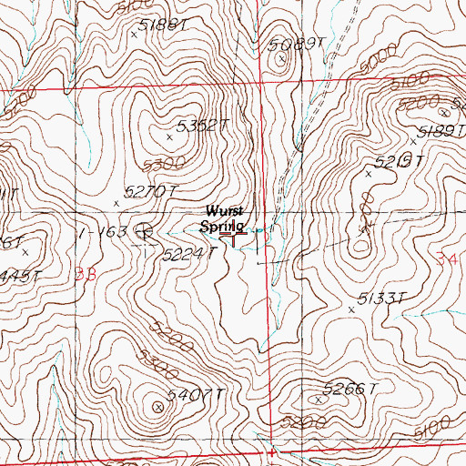 Topographic Map of Wurst Spring, ID