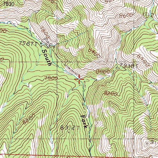 Topographic Map of South Fork Big Creek, ID